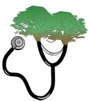 tree doctor logo