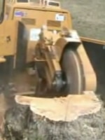 stump grinding and removal in Porter TX