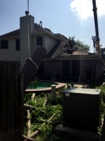 tree removal at Houston TX home