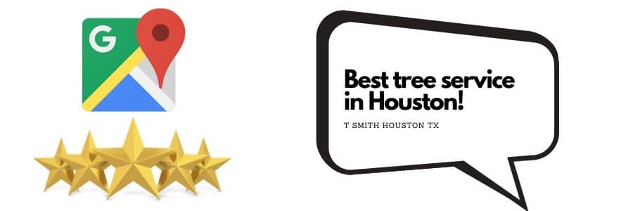 best tree service in houston!