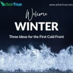Three Ideas After the First Cold Front - Blog