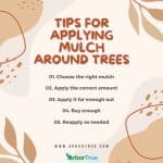 Tips for Applying mulch around trees