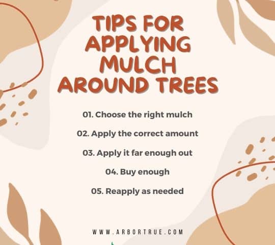 Tips for Applying mulch around trees