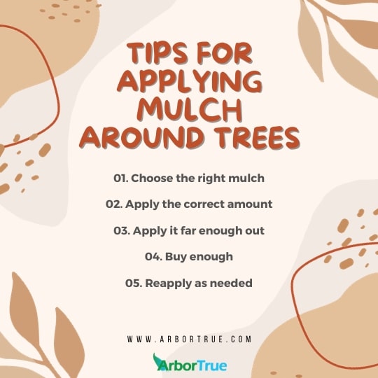 Tips for Applying mulch around trees 