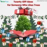 Twenty Gift Ideas