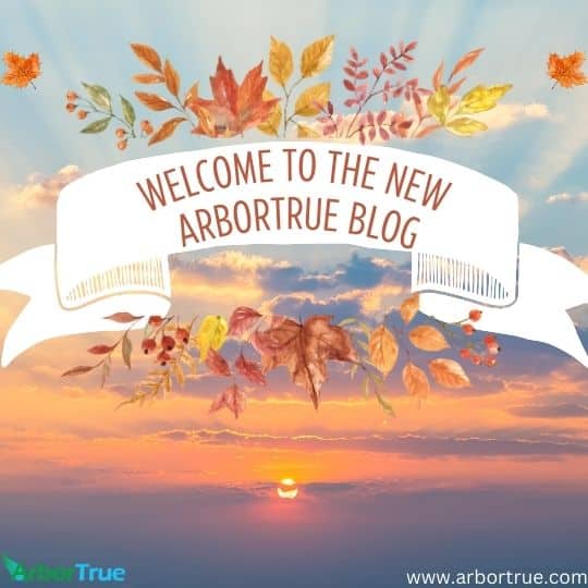 welcome to Our New Blog