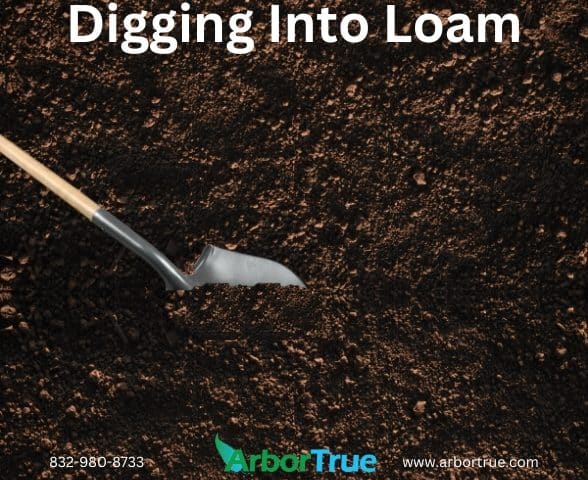 Digging Into Loam
