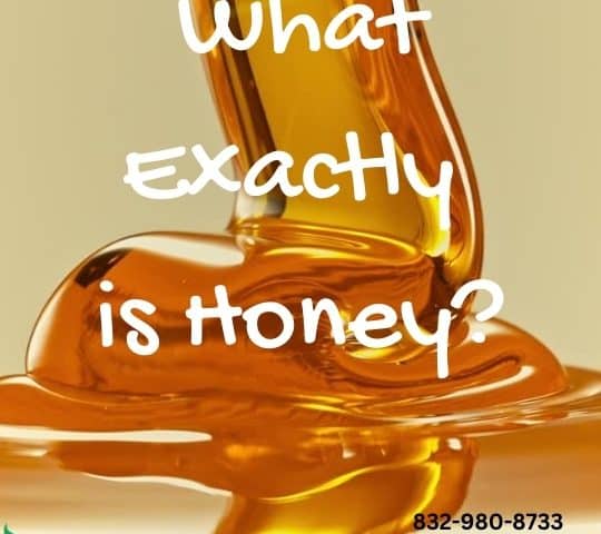 What Exactly is Honey?