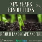 New Years Resolutions for Your Landscape and Trees