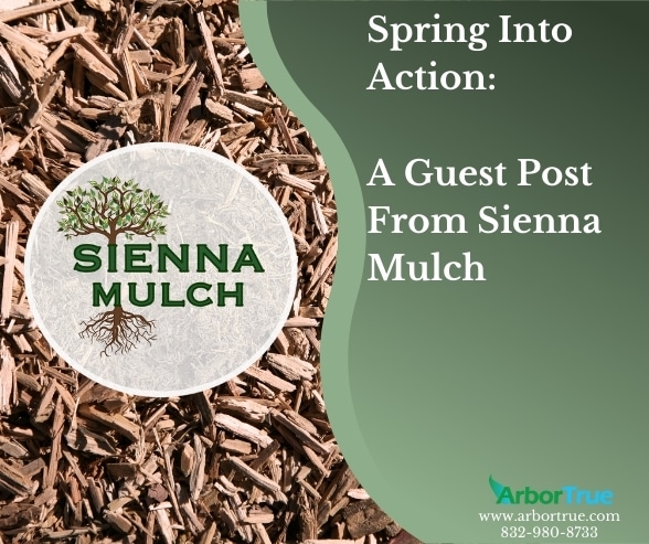 Sienna Mulch Guest Post