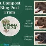 A Compost Blog Post From Sienna