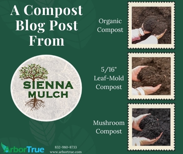 A Compost Blog Post From Sienna