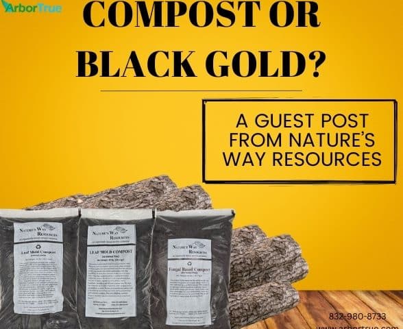Compost or Black Gold