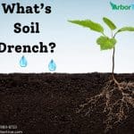 What’s Soil Drench