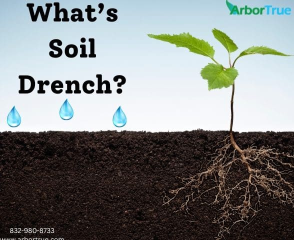 What’s Soil Drench
