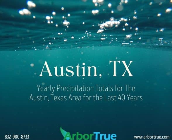 Austin Texas Year Precipitation