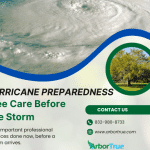 Hurricane Preparedness Tree Care Before The Storm