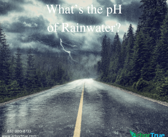 What's the pH of Rainwater