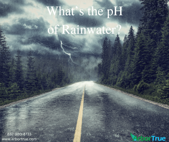 What's the pH of Rainwater