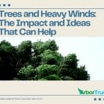 Trees and Heavy Winds The Impact and Ideas That Can Help