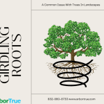 A Common Issue With Trees In Landscapes Girdling Roots