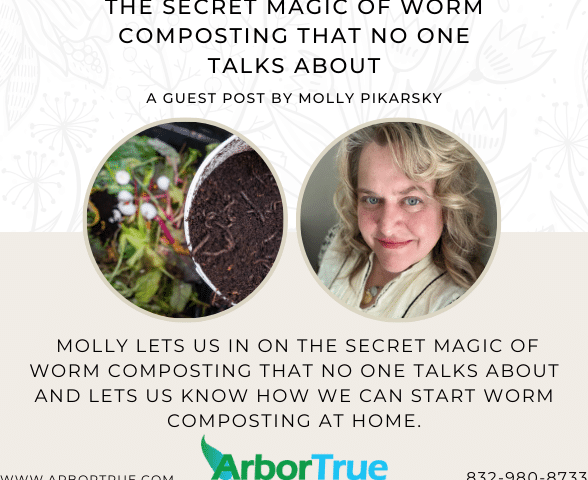 The Secret Magic of Worm Composting That No One Talks About