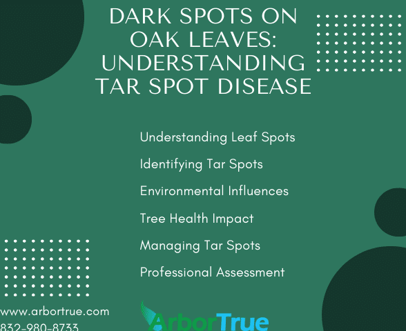 Dark Spots On Oak Leaves Understanding Tar Spot Disease