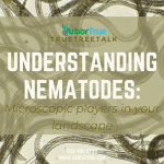 Understanding Nematodes Microscopic players in your landscape