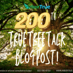 200th TrueTreeTak Blog Post