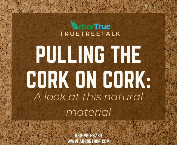 Pulling The Cork On Cork A Look At This Natural Material