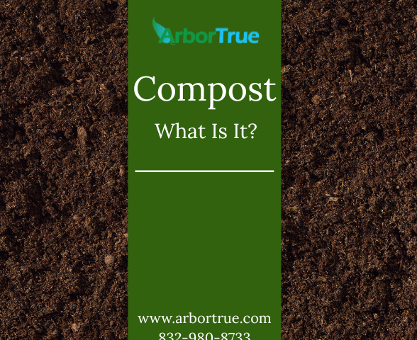 Compost What is it