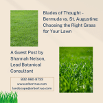 Blades of Thought - Bermuda vs. St. Augustine Choosing the Right Grass for Your Lawn